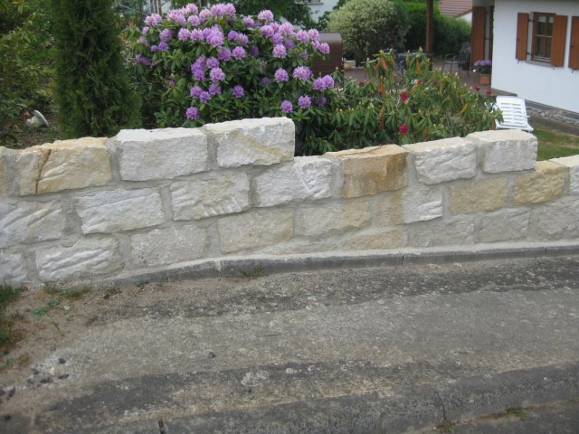 IMG_2023 (Large)